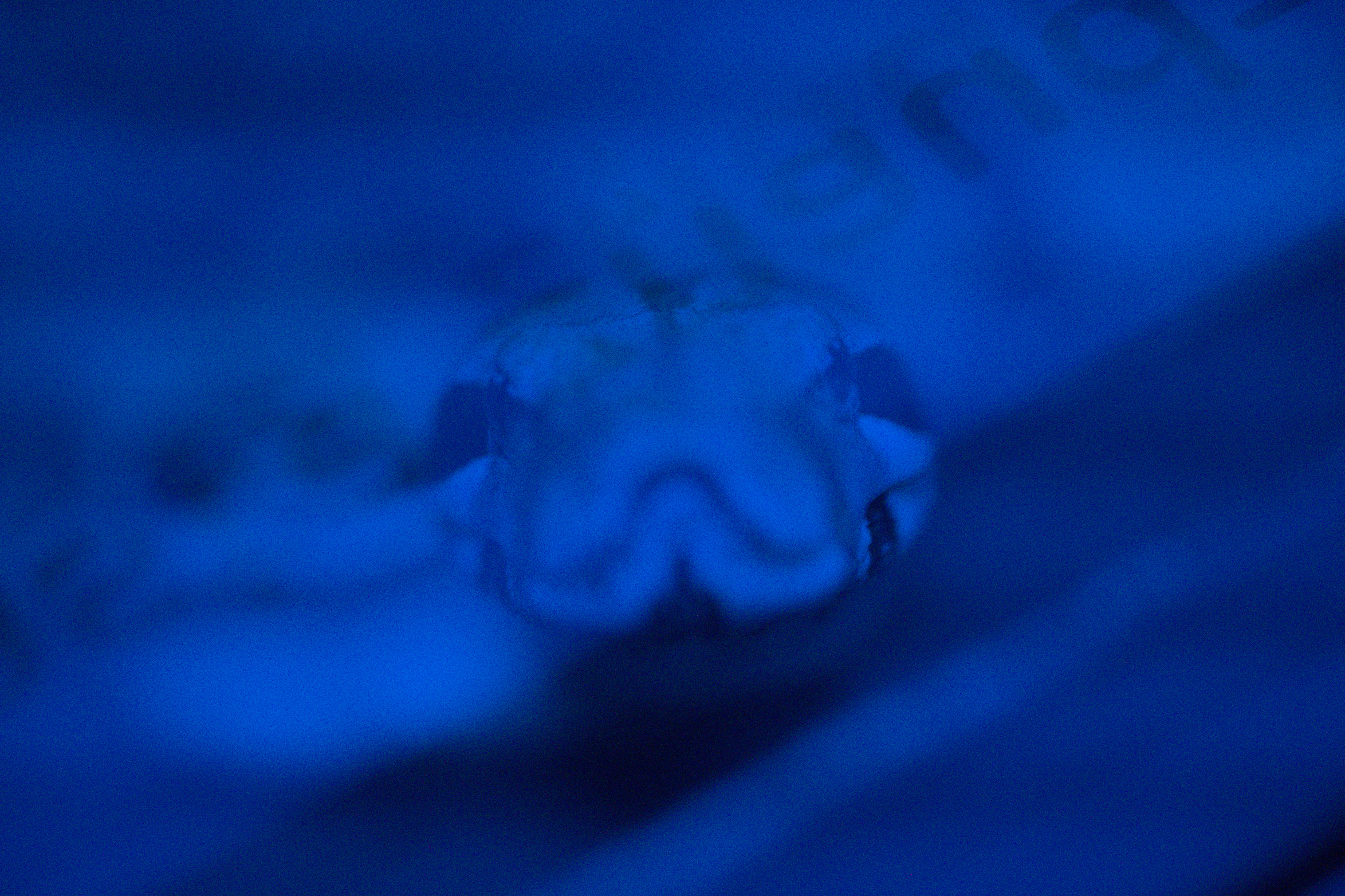 2025/10/12 - zoo/DSC_0252.jpg